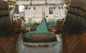 Aboard an industrial bottom trawler with four workers on standby as the trawl net is hailed onboard, full of fish.